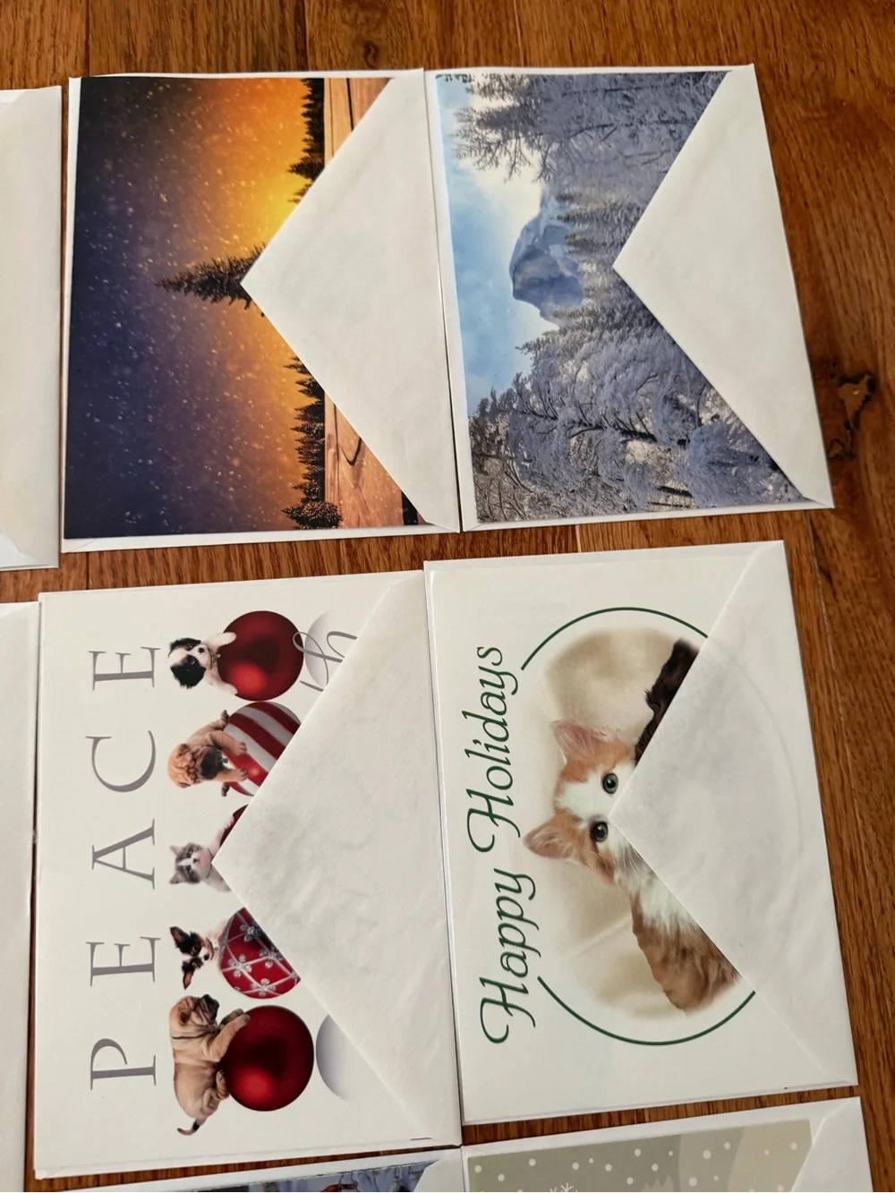 New Assorted Christmas & Holiday Greeting Cards Set of 10 with Envelopes